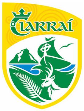 Profile Picture of Kerry county football teamon Wikipedia