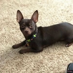 Profile Picture of Geraldine Dunegan (@geri_dan_and_8_make_10) on Myspace