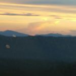 Profile Picture of WSG (@waltergeisler) on Instagram