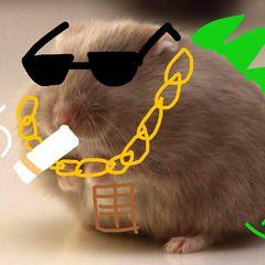 Profile Picture of Paul Hsiao (@paulhsiao64) on Tiktok