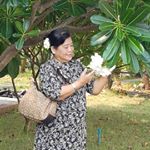 Marlar Myint - Instagram Profile Picture of Marlar Myint (@malarmyi) on Instagram