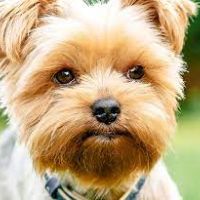 Profile Picture of tommiedaniel2 (@tommiedaniel2) on Tiktok