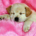 Profile Picture of leahvernon90 (@leahvernon90) on Instagram