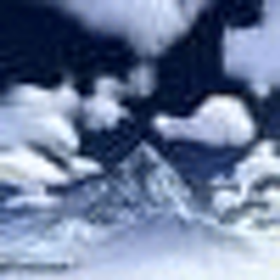 Profile Picture of Carol Schroeder (@draconcx) on Twitter