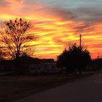 Profile Picture of Cindy Cousins Aspin (@ccaspin) on Instagram