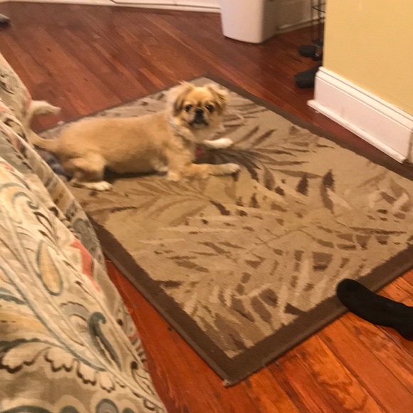 Profile Picture of Rocio Jaramillo (@rocio226) on Poshmark