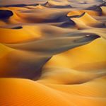 Profile Picture of maxine cannon (@buddymaxa) on Instagram