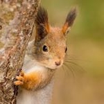 Profile Picture of rosapierre (@rosapierre29) on Instagram