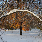 Profile Picture of Noah Hansen (@noahhansen8214) on Youtube