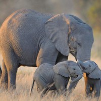 Profile Picture of Cecilia Manzo (@cecilia-manzo-1) on Quora