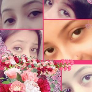 Profile Picture of Indrani Chakraborty (@Indrani19415932) on Twitter