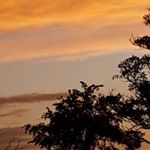 Profile Picture of Scott Ely (@scott.ely.169) on Instagram