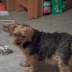 Profile Picture of Phyllis Lund Iverson (@phyllisi) on Facebook