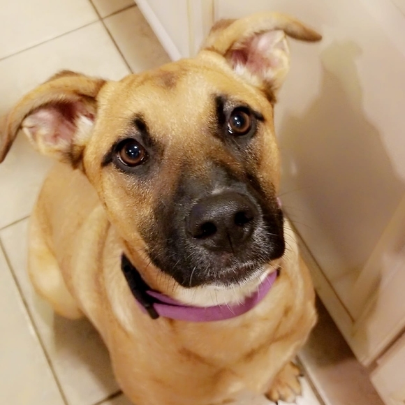 Profile Picture of Donna Cannon-guy (@dern5281) on Poshmark