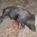 Profile Picture of Cody Le-page (@lepagecody) on Instagram