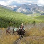 Profile Picture of Ron Holmes (@ronholmes7377) on Instagram