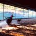 Profile Picture of Andrew Duncan (@andrew.duncan.940436) on Facebook