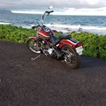 Profile Picture of Devin Darby (@bald_ginger_beard) on Instagram