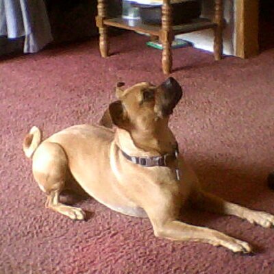 Profile Picture of Abigail Simon (@AbigailSimon424) on Twitter