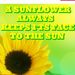 Profile Picture of Kim Dodson (@kdodson01) on Pinterest