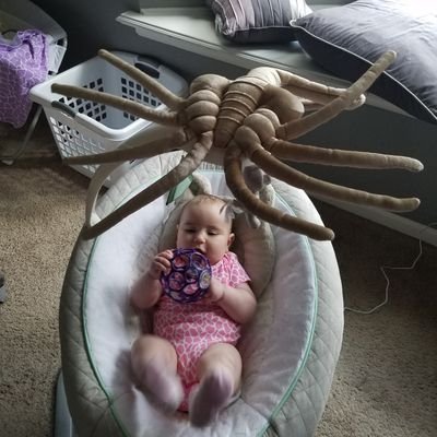 Profile Picture of Cory Lind (@Calind8121) on Twitter