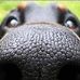 Profile Picture of Scott Parmer (@scott.parmer.555) on Facebook