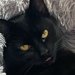 Profile Picture of Timothy Reznick (@timothy.reznick) on Facebook