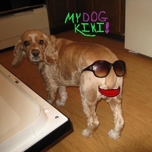 Profile Picture of Glen Fowler (@347668988) on Myspace