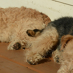 Profile Picture of Jeffrey Walker (@jeffreywalker2) on Flickr