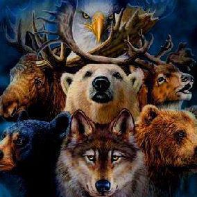 Profile Picture of Jasyon Hohman (@jasyon.hohman) on Facebook