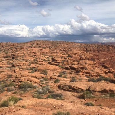 Profile Picture of Marquis Daniels (@MarquisDaniel18) on Twitter