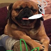 Profile Picture of George Dolan (@george-dolan-6) on Quora