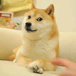 Profile Picture of crystal_vr0 (@crystal_vr0) on Tiktok