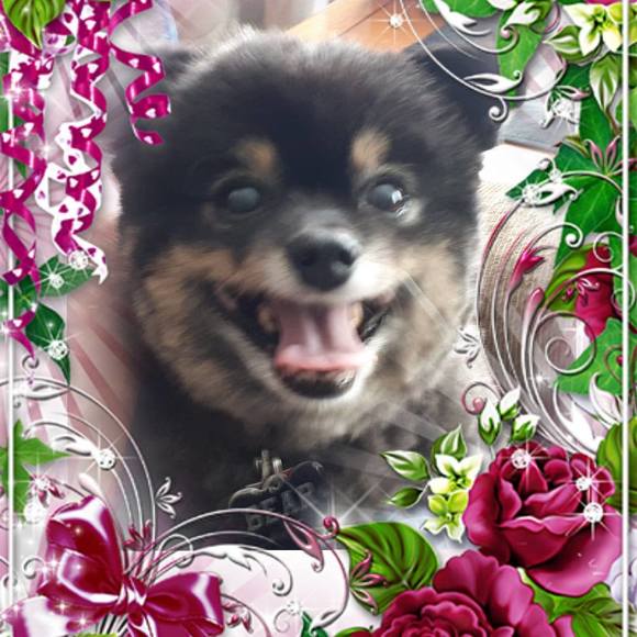 Profile Picture of Anita Reles (@anita_reles) on Poshmark