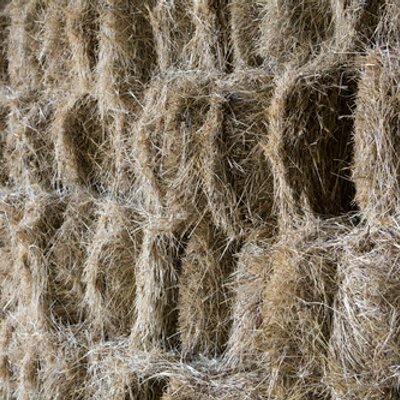 Profile Picture of Graham Humphreys (@GrahamHumphrey5) on Twitter