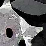 Profile Picture of l a b e t e (@l a b e t e) on Flickr