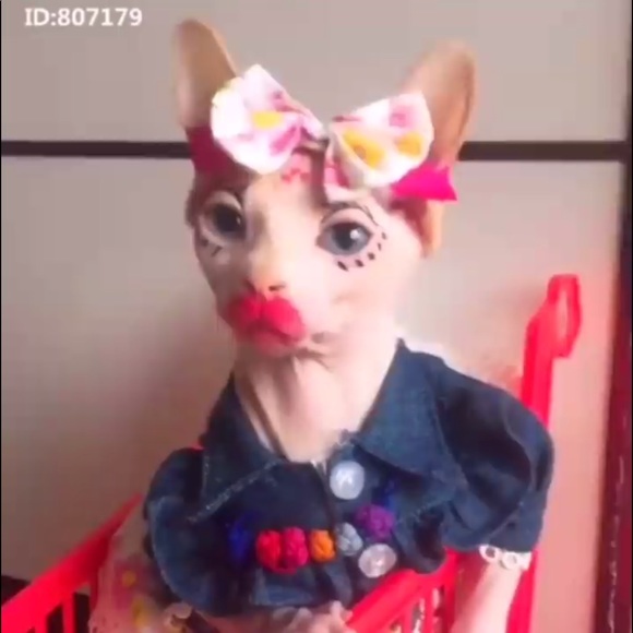 Profile Picture of Ericka Walls (@elgdlw) on Poshmark