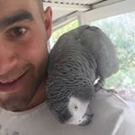 Profile Picture of Joseph (@josephpallas) on Instagram