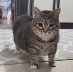 Profile Picture of Alexander Corpuz (@alexander.corpuz.467092) on Facebook