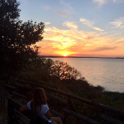 Alice Alunni - Twitter Profile Picture of Alice Alunni (@AliceAlunni) on Twitter