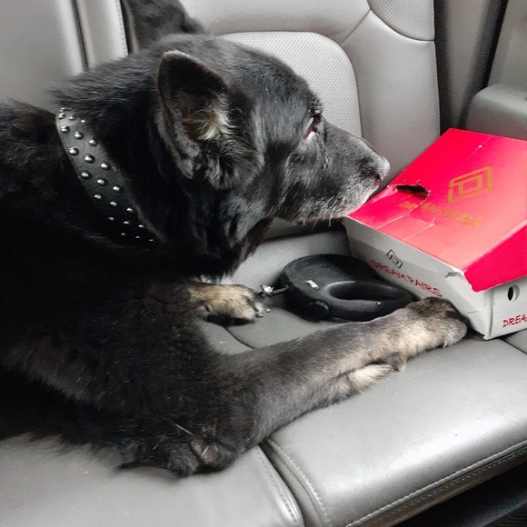 Profile Picture of Doris Jackson (@bikers2) on Poshmark