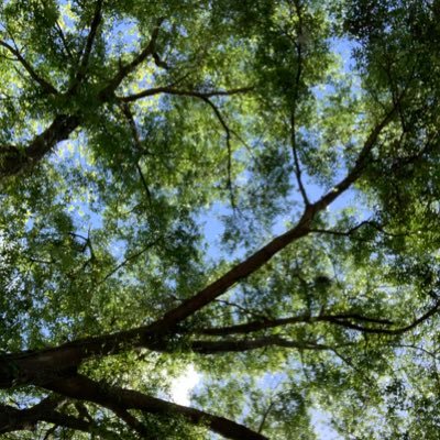 Profile Picture of Tori EuBanks (@ToriEuBanks8) on Twitter