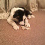 Profile Picture of Matthew Snowdon (@matthew_snowdon) on Instagram