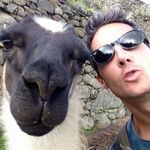 Stephen Finnegan - Instagram Profile Picture of Stephen Finnegan (@stephen.finnegan.338) on Instagram