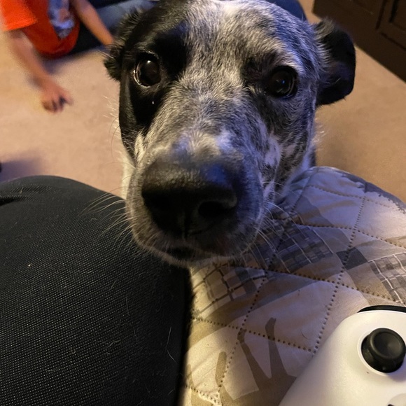 Shawna Noel - Poshmark Profile Picture of Shawna Noel (@shawnanoel969) on Poshmark