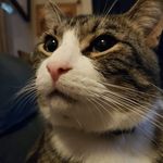 Profile Picture of Joel Wideman (@widemanjoel) on Instagram