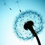 Profile Picture of Kevin (@mcguffeyke52) on Instagram