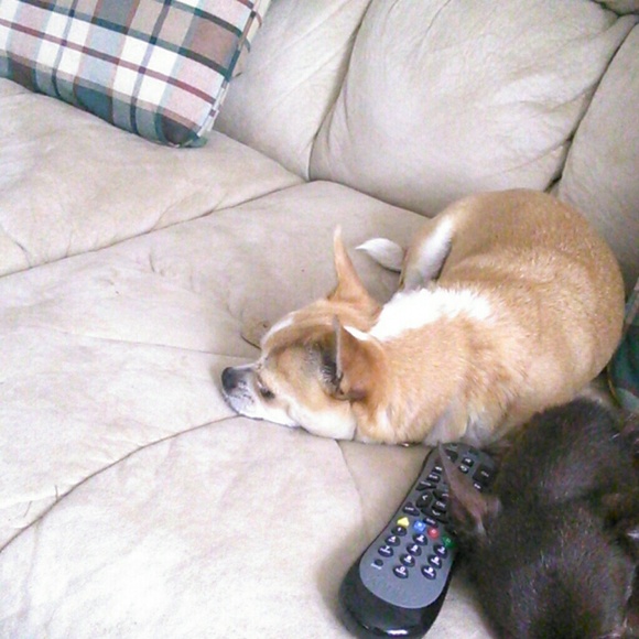 Profile Picture of Steve Nobles (@nena_7) on Poshmark