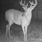 Profile Picture of Christopher Fineout (@christopher.fineout) on Facebook