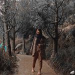 Profile Picture of pilut_pi (@pilut_pi) on Instagram